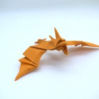 
<span>Amphiptere</span>
