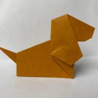 
<span>Beagle dog</span>
