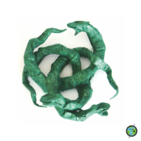 
<span>Ouroborromean Rings</span>

