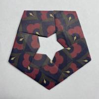 
<span>Star with a star-shaped hole</span>
