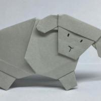 
<span>Sheep</span>
