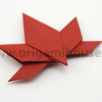 
<span>Japanese Maple Leaf</span>
