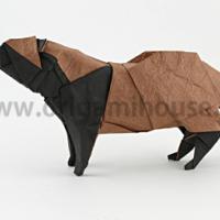 
<span>Raccoon Dog (Tanuki)</span>
