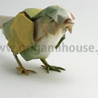 
<span>Little Bird</span>
