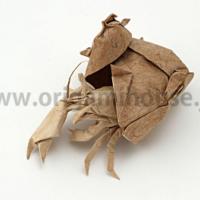 
<span>Hermit Crab</span>
