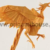 
<span>Phoenix</span>
