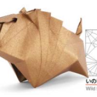 
<span>Wild Boar 2019</span>
