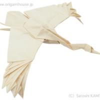 
<span>Crane</span>
