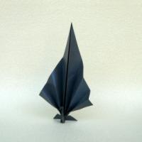 
<span>pavone</span>
