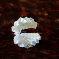 
<span>conchiglia</span>
