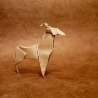 
<span>antilope</span>
