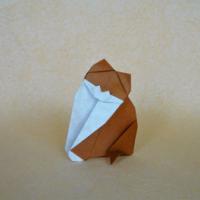 
<span>gatto</span>
