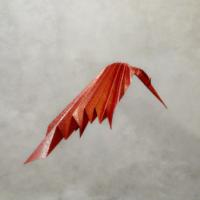 
<span>uccello del fuoco</span>
