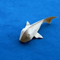 
<span>carpa-koi</span>
