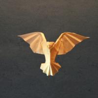
<span>colomba</span>
