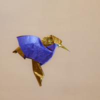 
<span>colibrì</span>
