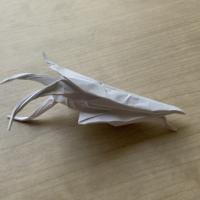 
<span>Kraken</span>
