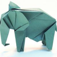 
<span>Elefant</span>
