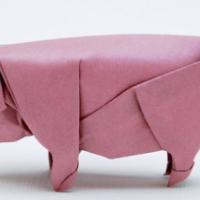 
<span>Schwein</span>
