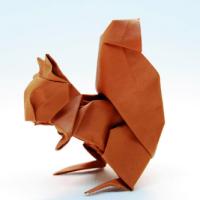 
<span>Eichhörnchen</span>
