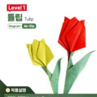 
<span>Tulip</span>
