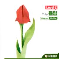 
<span>Tulip</span>
