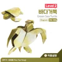
<span>Green Sea Turtle</span>
