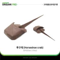 
<span>Horseshoe crab</span>
