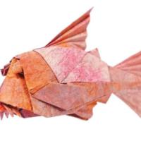 
<span>Corydoras</span>

