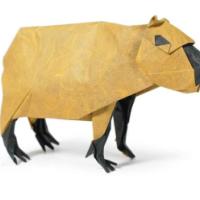 
<span>Capybara</span>
