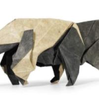 
<span>Giant Anteater</span>
