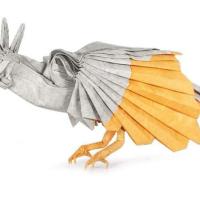 
<span>Hoatzin</span>
