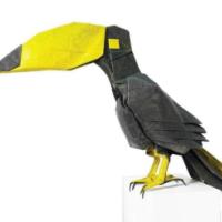 
<span>Toco Toucan</span>
