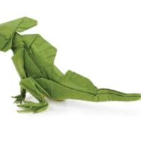 
<span>Basilisk Lizard</span>
