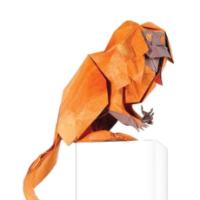 
<span>Golden Lion Tamarin</span>
