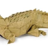 
<span>Caiman</span>

