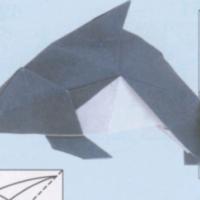 
<span>Dolphin</span>

