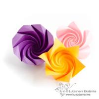 
<span>Spirals to Flowers</span>
