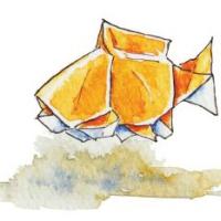 
<span>Easy Fish</span>

