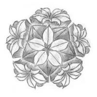 
<span>Floral Dream</span>
