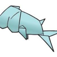 
<span>Fish</span>
