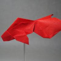 
<span>goldfish</span>
