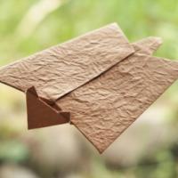 
<span>flying squirrel</span>
