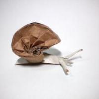 
<span>snail</span>
