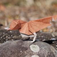 
<span>little bird</span>
