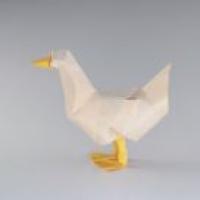 
<span>duck</span>
