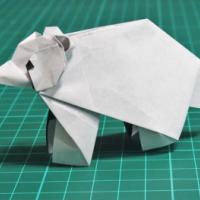 
<span>polar bear</span>
