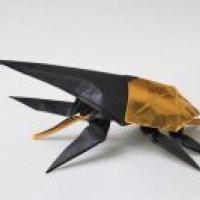 
<span>hercules beetle</span>
