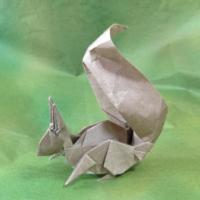 
<span>squirrel</span>
