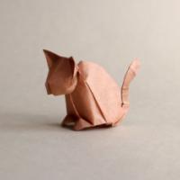 
<span>cat</span>
